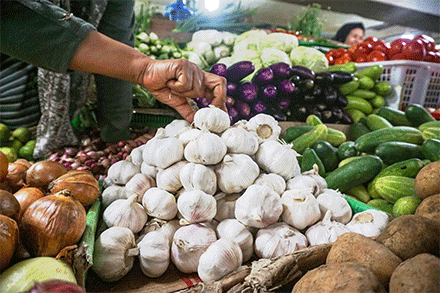 Harga bawang turun