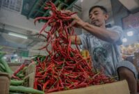 Harga cabai tak terkendali