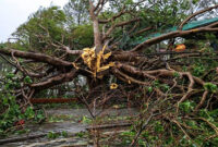 Angin topan Bualoi terjang Vietnam, tewaskan 11 orang. (REUTERS/Thinh Nguyen)