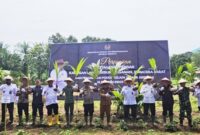 Penanaman bibit kelapa serentak di Pasaman Barat, Sumbar.