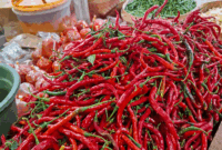 Harga cabai merah keriting di pasar tanjung bajure sungai penuh Rp72 rb/kg