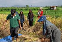 Usaha pertanian juga terbuka mendapatkan modal usaha melalui tabungan bersama.