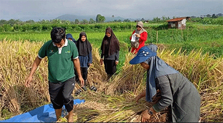 Usaha pertanian juga terbuka mendapatkan modal usaha melalui tabungan bersama.