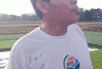 Mujianto petani padi organik di Bojonegoro, Jawa Timur.