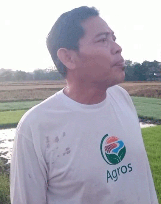 Mujianto petani padi organik di Bojonegoro, Jawa Timur.