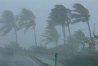 Ilustrasi badai. Foto: REUTERS/Alvin Baez