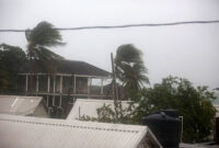 Pohon palem bergoyang tertiup angin saat Badai Melissa mendekat, di Port Royal, Jamaika, Senin (27/10/2025). Foto: Octavio Jones/REUTERS

