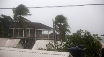 Pohon palem bergoyang tertiup angin saat Badai Melissa mendekat, di Port Royal, Jamaika, Senin (27/10/2025). Foto: Octavio Jones/REUTERS