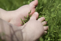 Ilustrasi Kaki Bayi di Tanah. Foto: Shutterstock
