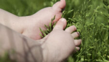 Ilustrasi Kaki Bayi di Tanah. Foto: Shutterstock
