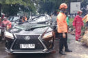 Mobil Lexus ringsek usai tertimpa pohon tumbang di Jakarta Selatan, Minggu (26/10/2025). Foto: BPBD DKI Jakarta