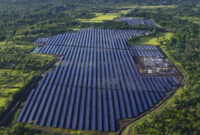 Medco Energi mulai operasikan Pembangkit Listrik Tenaga Surya (PLTS) 25 MWp di Bali Timur. Foto: Dok. Medco Energi