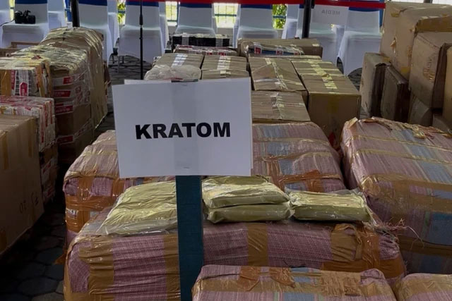 Ratusan kilo kratom ditampilkan pada saat konferensi pers di Bea Cukai Kalbar. Foto: Rabiansyah/Hi!Pontianak
