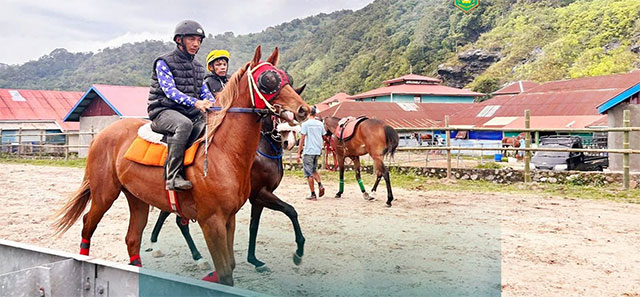 Seekor kuda pacuan melakukan pemanasan jelang Alek Pacu Kuda Pabasko di Gelanggang Bancah Laweh.