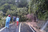 Tebing setinggi 25 meter longsor dan menutup jalan provinsi di Kampung Gadog Jaya, Desa Sukajadi, Kecamatan Cibinong, Kabupaten Cianjur, Jawa Barat, Jumat (10/10/2025). Foto: Dok. Istimewa
