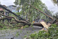 Hujan deras dan angin kencang sebabkan sejumlah pohon tumbang di Kabupaten Sleman, Rabu (15/10/2025). Foto: BPBD Sleman
