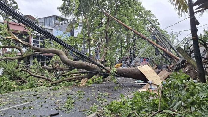 Hujan deras dan angin kencang sebabkan sejumlah pohon tumbang di Kabupaten Sleman, Rabu (15/10/2025). Foto: BPBD Sleman
