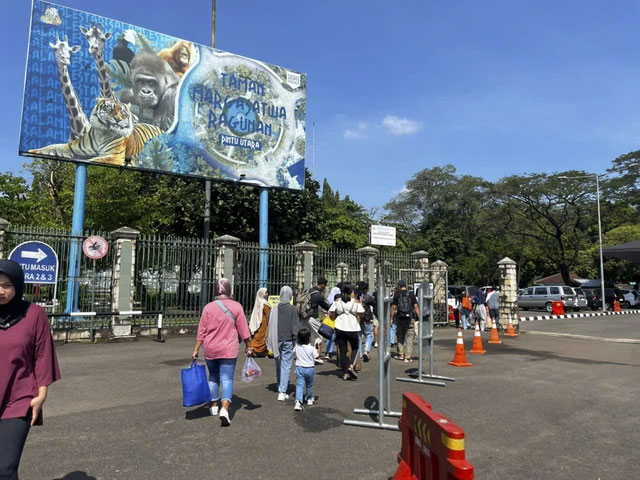 Suasana Kebun Binatang Ragunan, Jakarta Selatan, Minggu (11/5/2025). Foto: Rayyan Farhansyah/kumparan