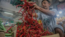 Seorang pedagang  cabai merah.