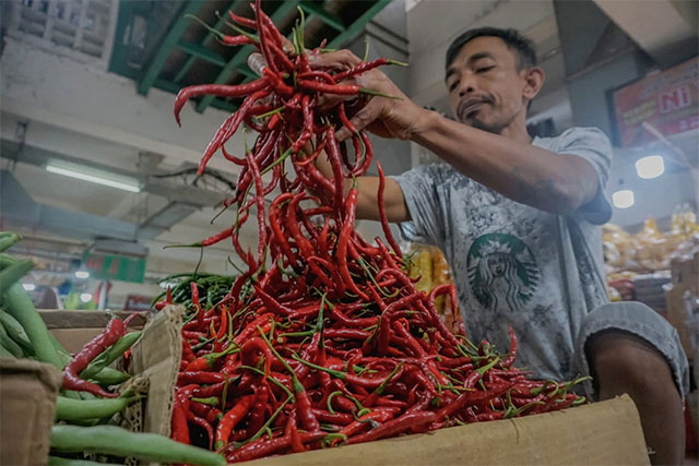 Seorang pedagang  cabai merah.